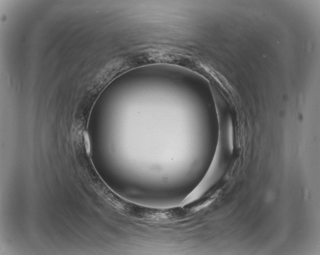 X0000087540513200704271235