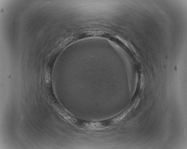 X0000087540517200704271235