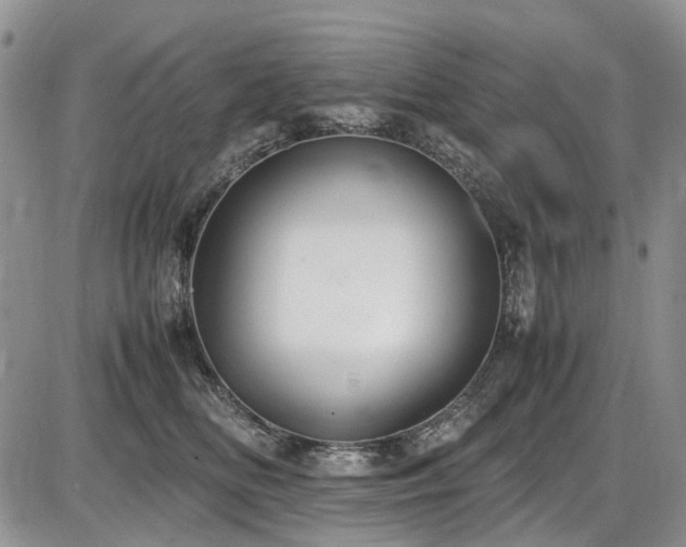 X0000087540518200704271235