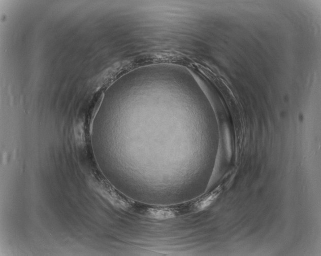 X0000087540520200704271235