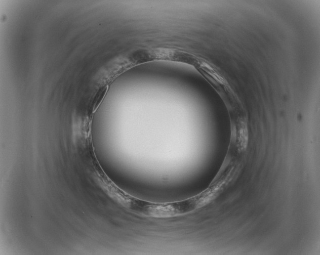 X0000087540525200704271235