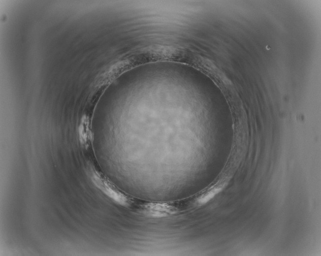 X0000087540528200704271235