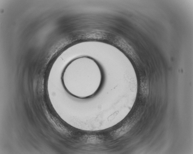 X0000087540534200704271234