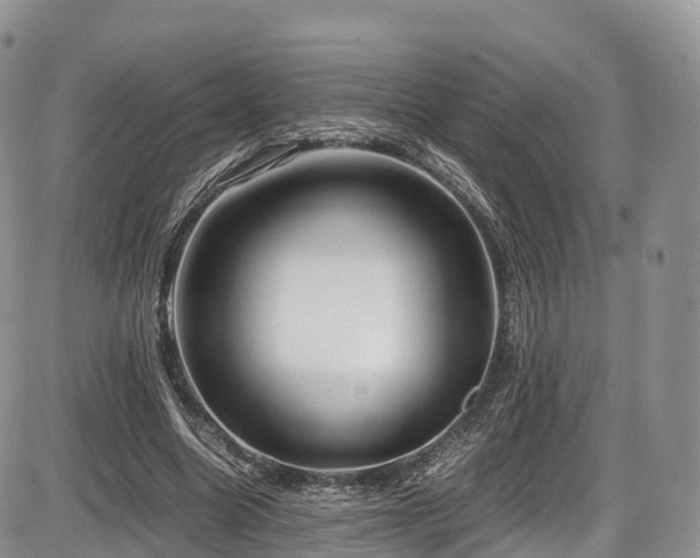X0000087540538200704271234
