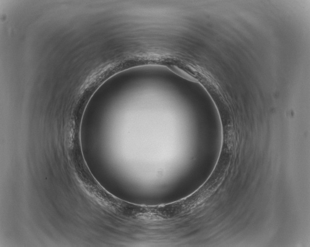 X0000087540544200704271234