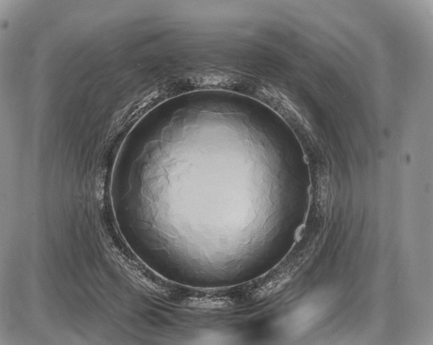 X0000087540545200704271234