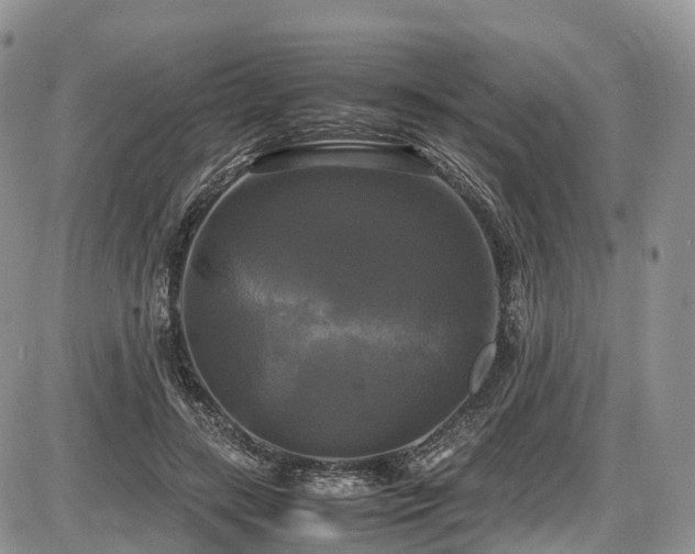 X0000087540547200704271234