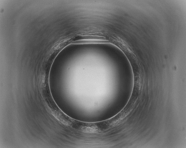 X0000087540548200704271235