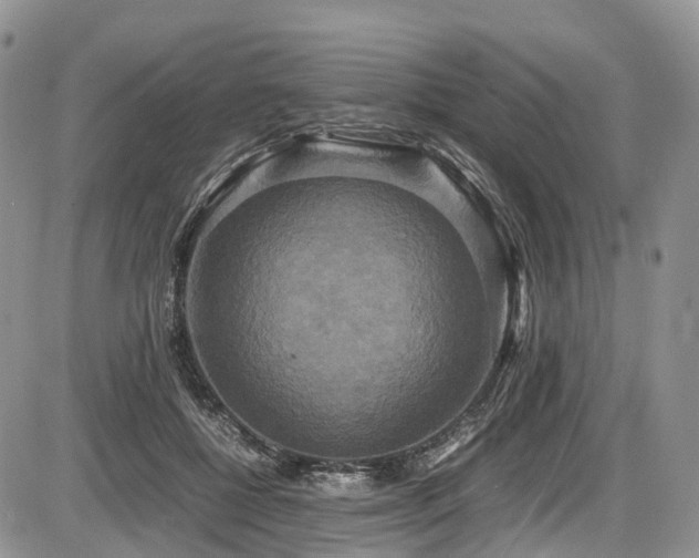 X0000087540552200704271235