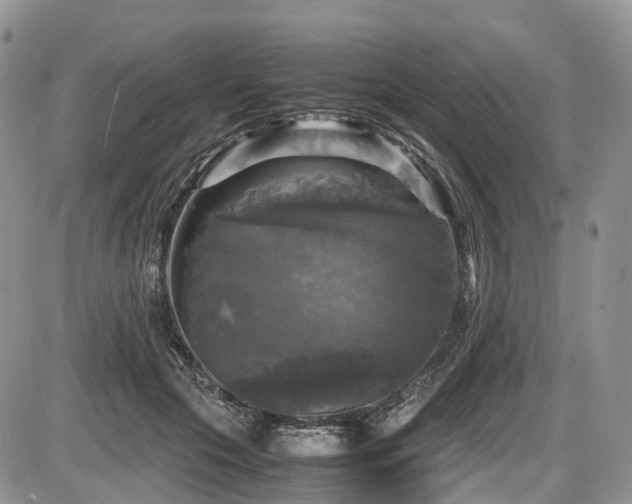 X0000087540553200704271235