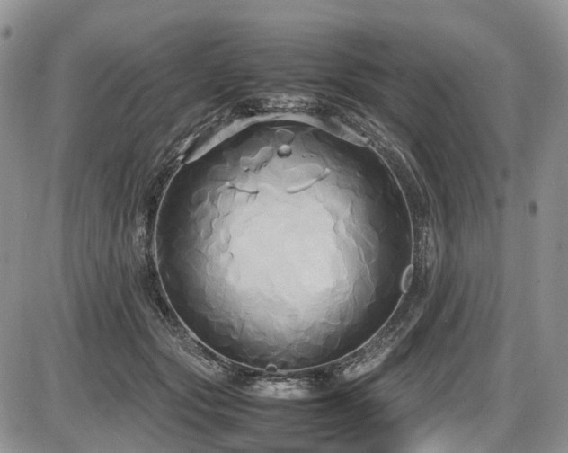 X0000087540557200704271235