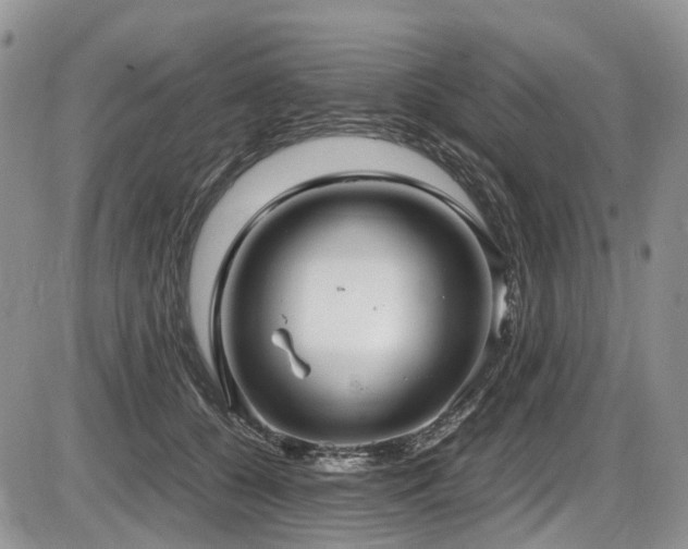 X0000087540560200704271235