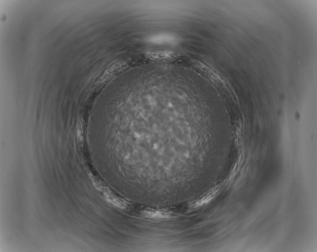 X0000087540561200704271235