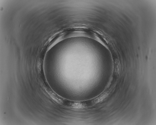 X0000087540562200704271235