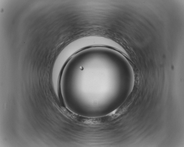 X0000087540568200704271235