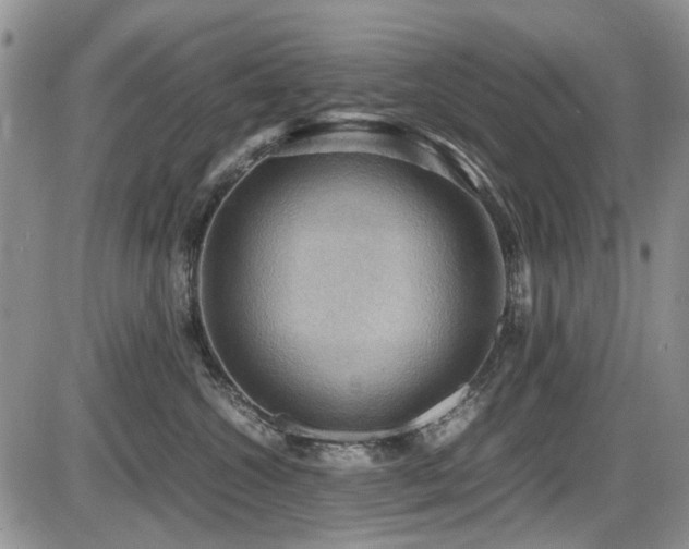 X0000087540572200704271235