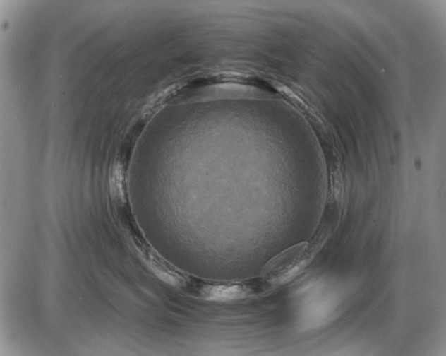 X0000087540575200704271235