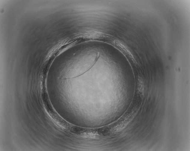 X0000087540586200704271234