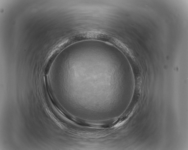 X0000087540589200704271234