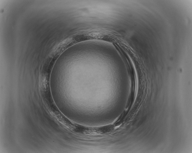 X0000087540597200704271234