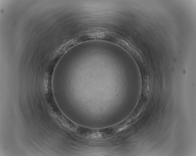 X0000087540600200704271234