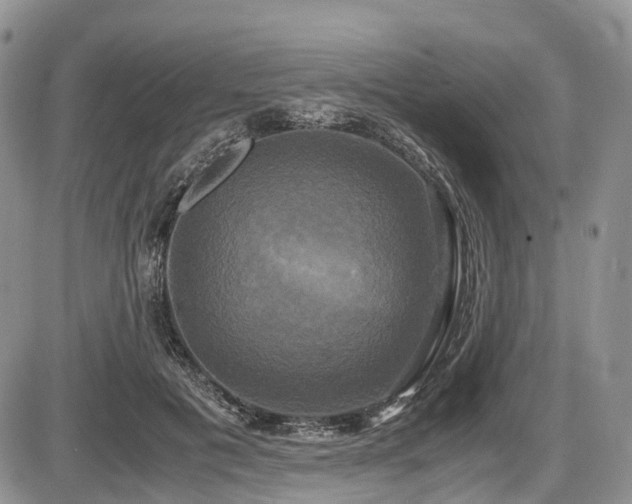 X0000087540601200704271234