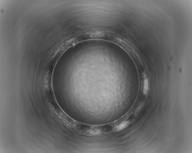 X0000087540604200704271234