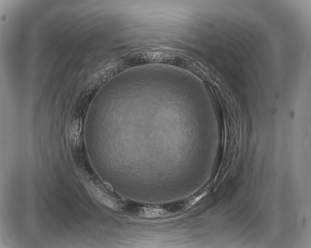 X0000087540605200704271234