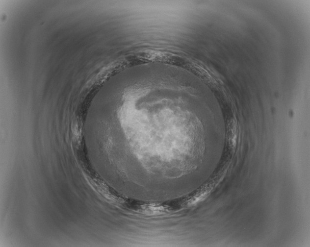 X0000087540607200704271234