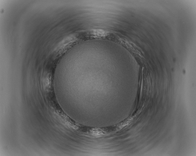 X0000087540608200704271234