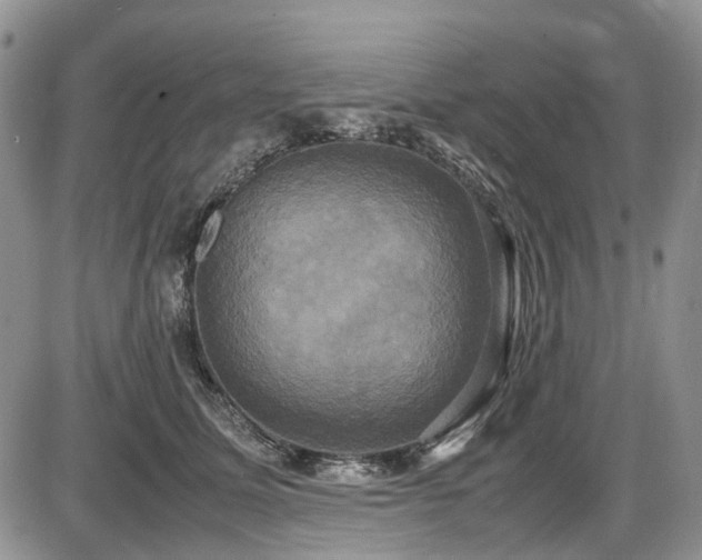 X0000087540611200704271234