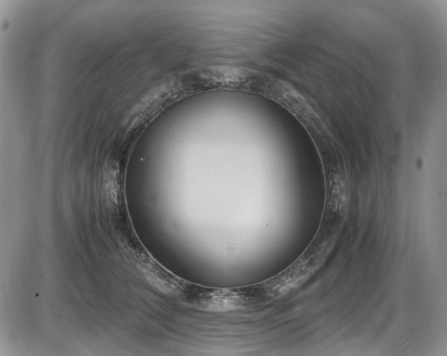 X0000087540612200704271234