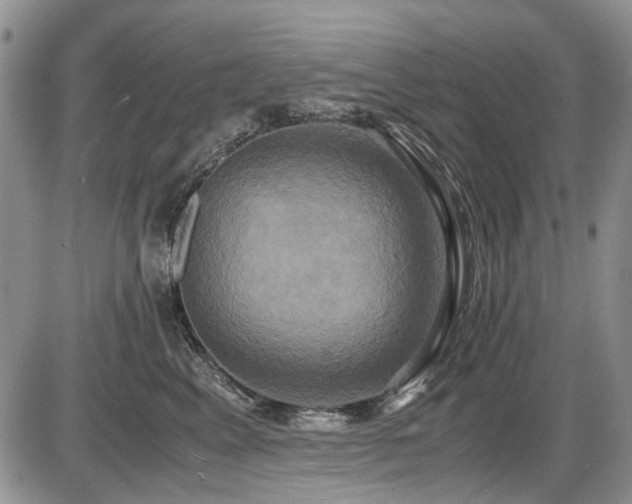 X0000087540617200704271234