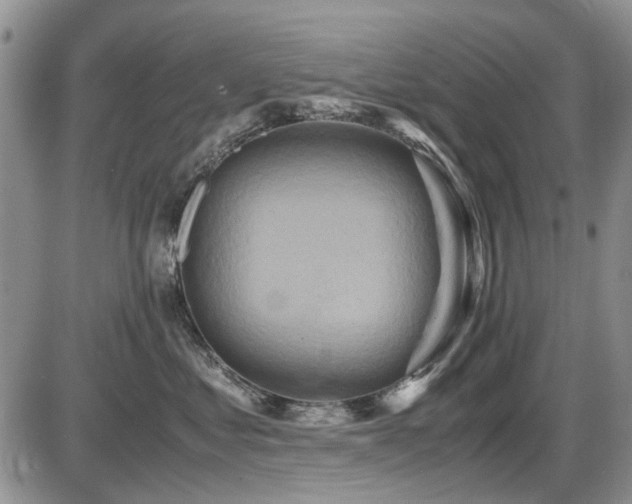 X0000087540621200704271233