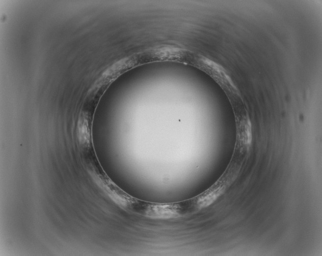 X0000087540622200704271233