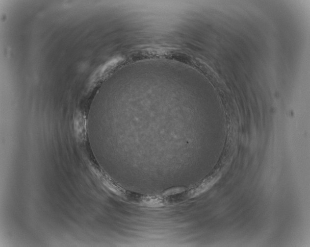 X0000087540624200704271233