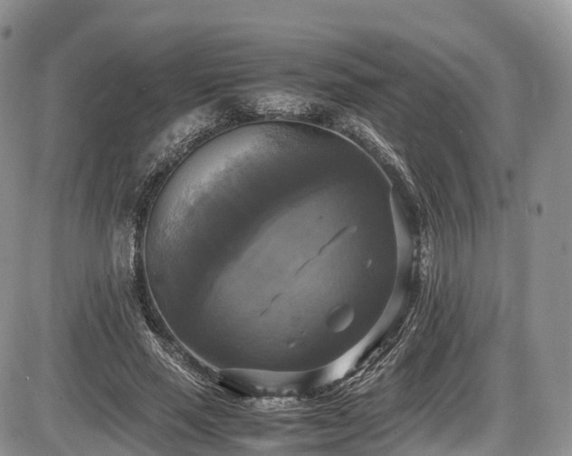 X0000087540637200704271233