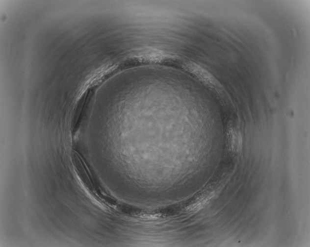 X0000087540638200704271233