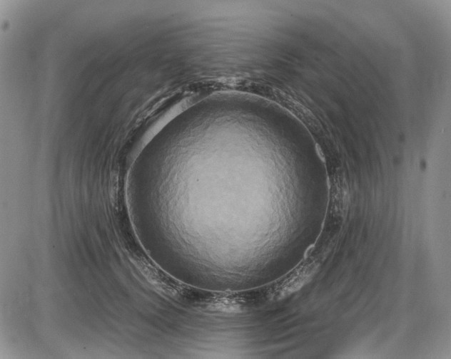 X0000087540656200704271233