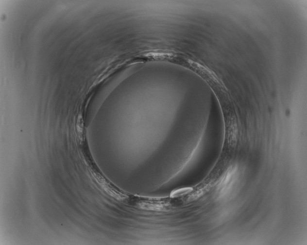 X0000087540661200704271233