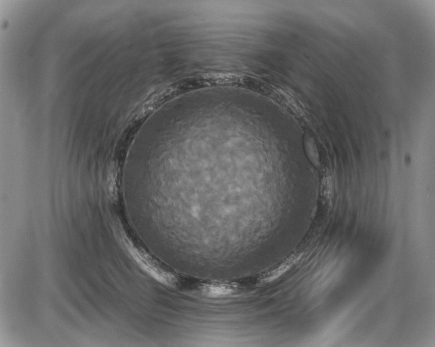 X0000087540662200704271233