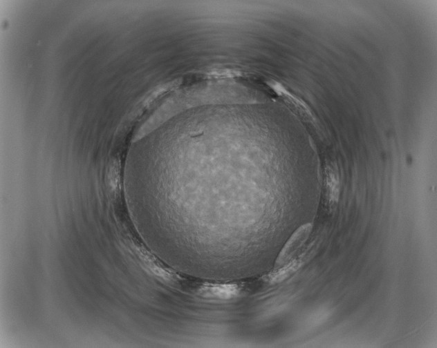 X0000087540665200704271233