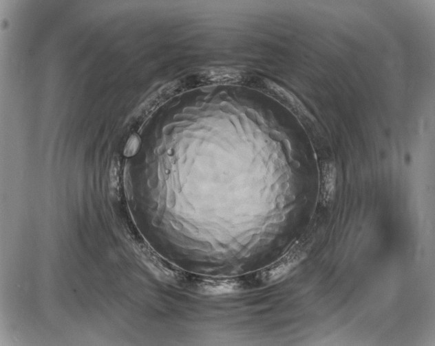 X0000087540667200704271233