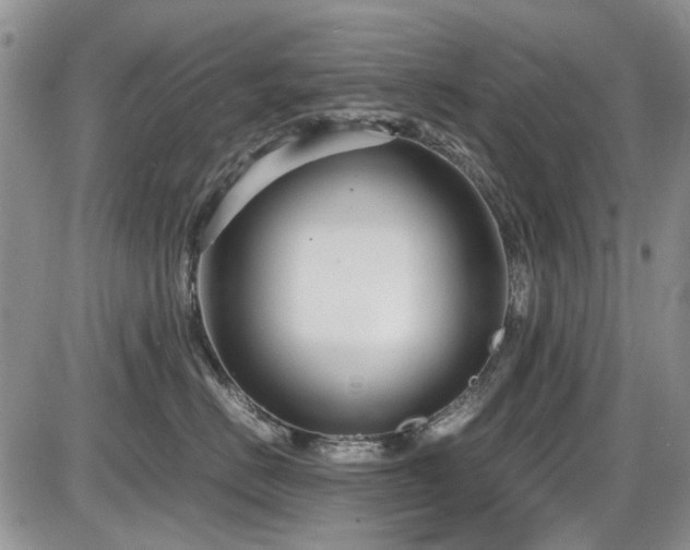 X0000087540670200704271233