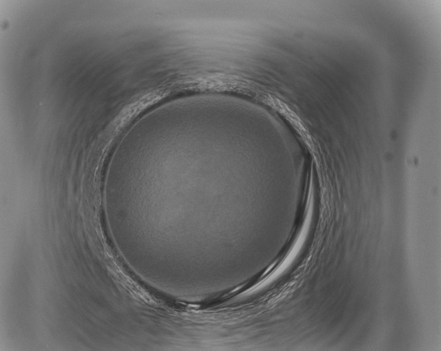 X0000087540673200704271233