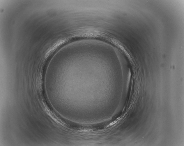 X0000087540677200704271233