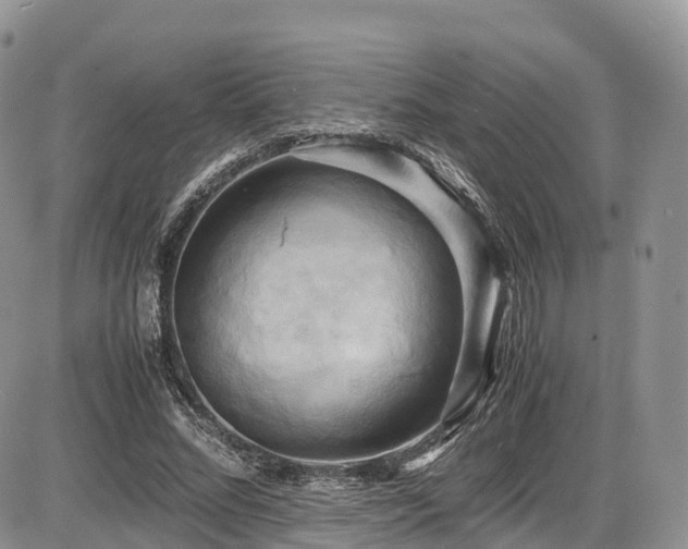X0000087540684200704271232
