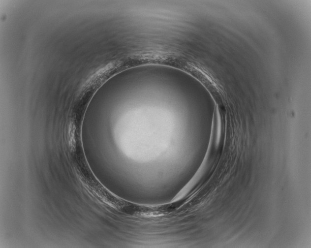 X0000087540692200704271232
