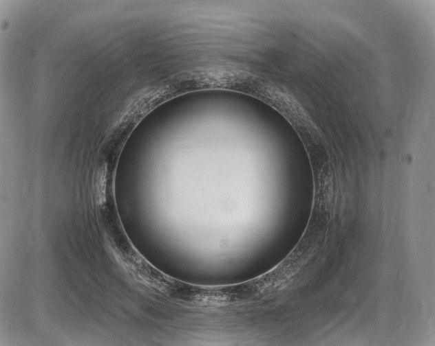 X0000087540694200704271232