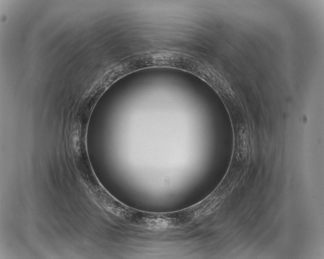 X0000087540698200704271232